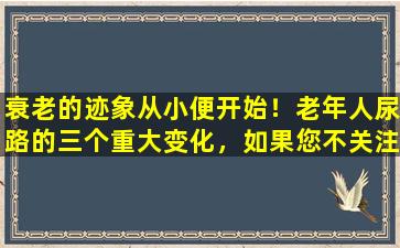 衰老的迹象从小便开始！老年人尿路的三个重大变化，如果您不关注，它将产生很大的影响