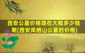 西安公墓价格现在大概多少钱呢(西安凤栖山公墓的价格)