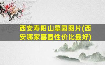 西安寿阳山墓园图片(西安哪家墓园性价比最好)