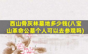 西山骨灰林墓地多少钱(八宝山革命公墓个人可以去参观吗)
