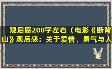 观后感200字左右（电影《断背山》观后感：关于爱情、勇气与人生的感悟）
