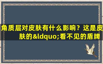 角质层对皮肤有什么影响？这是皮肤的“看不见的盾牌”