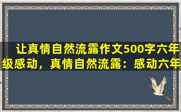 让真情自然流露作文500字六年级感动，真情自然流露：感动六年级作文
