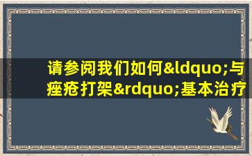 请参阅我们如何“与痤疮打架”基本治疗（外科医学）