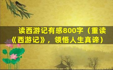 读西游记有感800字（重读《西游记》，领悟人生真谛）