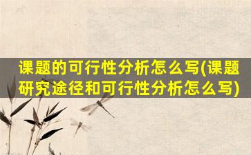 课题的可行性分析怎么写(课题研究途径和可行性分析怎么写)
