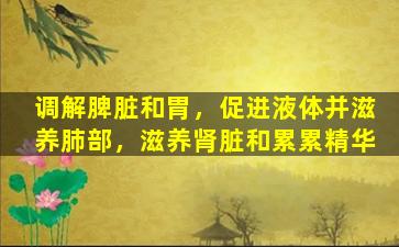 调解脾脏和胃，促进液体并滋养肺部，滋养肾脏和累累精华