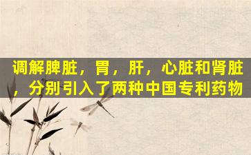 调解脾脏，胃，肝，心脏和肾脏，分别引入了两种中国专利药物