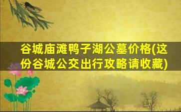 谷城庙滩鸭子湖公墓价格(这份谷城公交出行攻略请收藏)