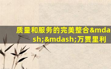 质量和服务的完美整合——万贾里利
