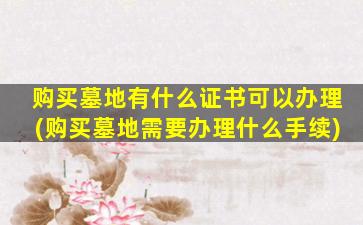 购买墓地有什么证书可以办理(购买墓地需要办理什么手续)
