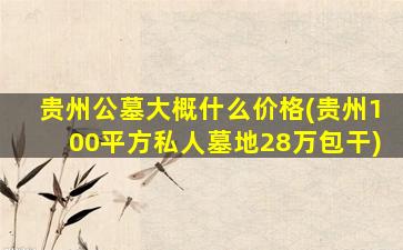 贵州公墓大概什么价格(贵州100平方私人墓地28万包干)