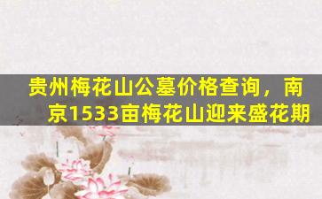 贵州梅花山公墓价格查询，南京1533亩梅花山迎来盛花期