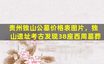 贵州独山公墓价格表图片，独山遗址考古发现38座西周墓葬