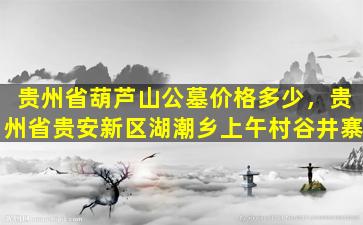 贵州省葫芦山公墓价格多少，贵州省贵安新区湖潮乡上午村谷井寨