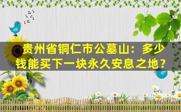 贵州省铜仁市公墓山：多少钱能买下一块永久安息之地？
