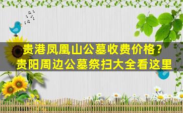 贵港凤凰山公墓收费价格？贵阳周边公墓祭扫大全看这里