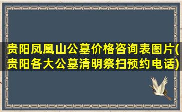 贵阳凤凰山公墓价格咨询表图片(贵阳各大公墓清明祭扫预约电话)
