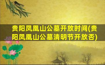 贵阳凤凰山公墓开放时间(贵阳凤凰山公墓清明节开放否)