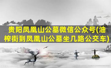贵阳凤凰山公墓微信公众号(油榨街到凤凰山公墓坐几路公交车)