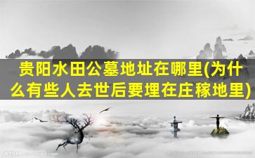 贵阳水田公墓地址在哪里(为什么有些人去世后要埋在庄稼地里)