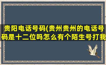 贵阳电话号码(贵州贵州的电话号码是十二位吗怎么有个陌生号打我的电话)