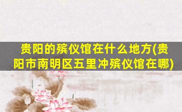 贵阳的殡仪馆在什么地方(贵阳市南明区五里冲殡仪馆在哪)