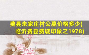 费县朱家庄村公墓价格多少(临沂费县费城印象之1978)