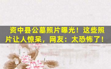 资中县公墓照片曝光！这些照片让人惊呆，网友：太恐怖了！