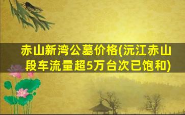 赤山新湾公墓价格(沅江赤山段车流量超5万台次已饱和)