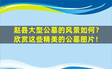 赵县大型公墓的风景如何？欣赏这些精美的公墓图片！