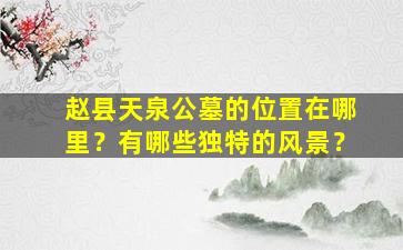 赵县天泉公墓的位置在哪里？有哪些独特的风景？