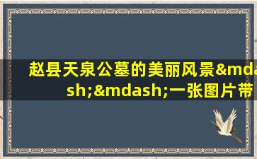 赵县天泉公墓的美丽风景——一张图片带你了解这座公墓