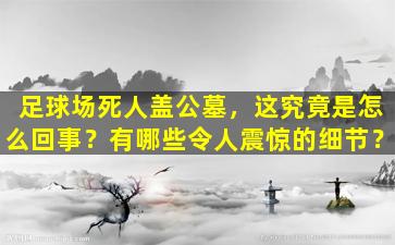 足球场死人盖公墓，这究竟是怎么回事？有哪些令人震惊的细节？