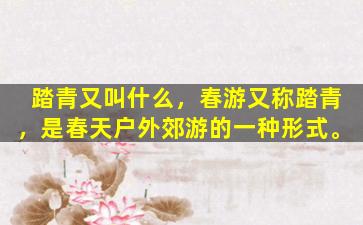 踏青又叫什么，春游又称踏青，是春天户外郊游的一种形式。