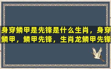 身穿鳞甲是先锋是什么生肖，身穿鳞甲，鳞甲先锋，生肖龙鳞甲先锋