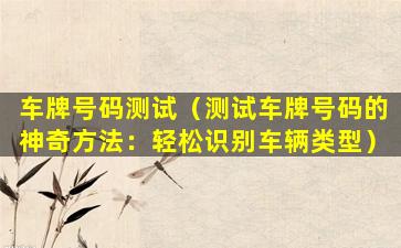 车牌号码测试（测试车牌号码的神奇方法：轻松识别车辆类型）