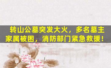 转山公墓突发大火，多名墓主家属被困，消防部门紧急救援！
