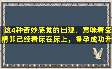 这4种奇妙感觉的出现，意味着受精卵已经着床在床上，备孕成功升级成为准妈妈。