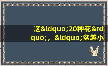 这“20种花”，“盆越小”长得越漂亮，盆大了反而养不好