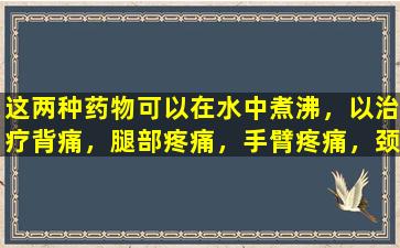这两种药物可以在水中煮沸，以治疗背痛，腿部疼痛，手臂疼痛，颈椎疼痛和肩部疼痛。