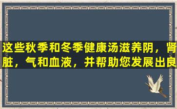 这些秋季和冬季健康汤滋养阴，肾脏，气和血液，并帮助您发展出良好的肤色