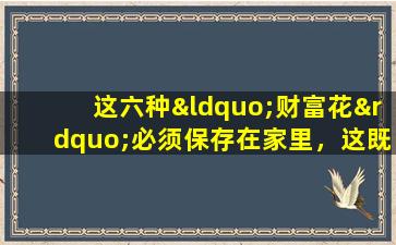 这六种“财富花”必须保存在家里，这既好又美丽！