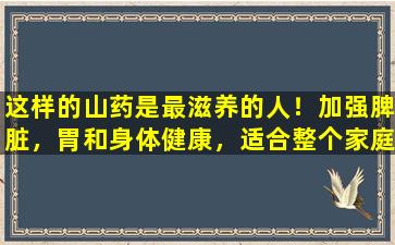 这样的山药是最滋养的人！加强脾脏，胃和身体健康，适合整个家庭