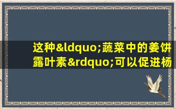 这种“蔬菜中的姜饼露叶素”可以促进杨，促进气和消除痰！