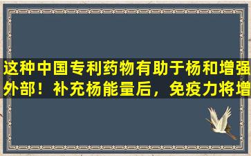 这种中国专利药物有助于杨和增强外部！补充杨能量后，免疫力将增加