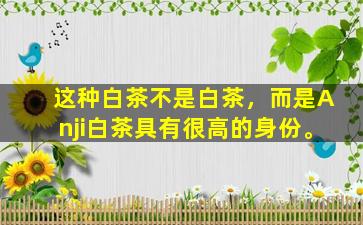 这种白茶不是白茶，而是Anji白茶具有很高的身份。