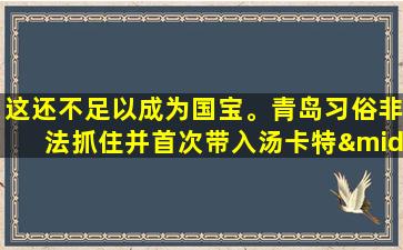 这还不足以成为国宝。青岛习俗非法抓住并首次带入汤卡特·阿里