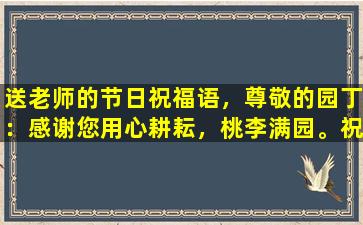 送老师的节日祝福语，尊敬的园丁：感谢您用心耕耘，桃李满园。祝您教师节快乐！