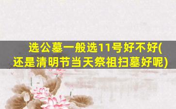 选公墓一般选11号好不好(还是清明节当天祭祖扫墓好呢)